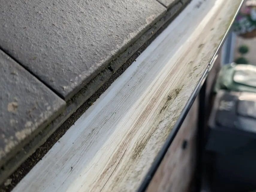 Exterior Cleaning Results
